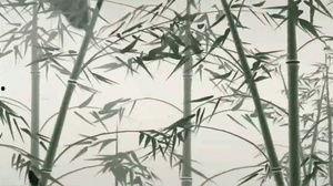 国产水墨画视频大全,国产水墨画视频大全赏析