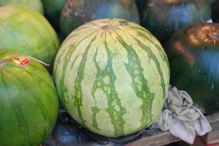 大西瓜视频国产p