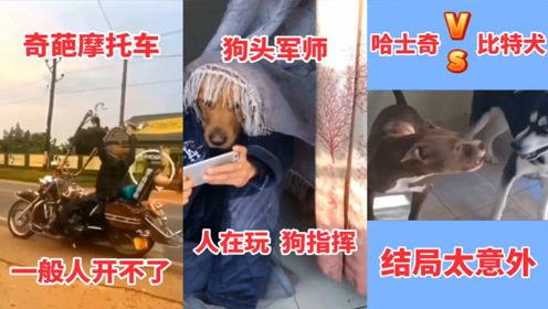 奇葩老国产玩具视频播放,那些年我们一起玩过的老国产玩具，重温童年记忆