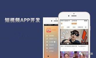 国产成版人视频app有哪些,创新与发展的新篇章