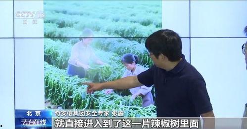 国产二代视频种子,探索创新与传承的视觉盛宴