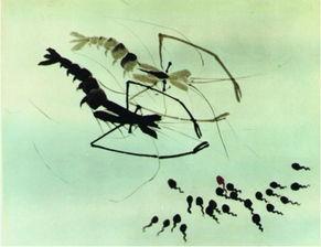 小蝌蚪视频网站动漫国产,小蝌蚪视频网站动漫国独家推荐