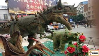 国产小恐龙拆解视频大全,拆解视频大全深度解析