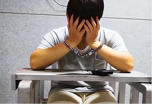 国产男同志小鲜视频免费,免费视频带你领略青春风采
