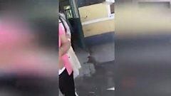 国产每日大屁股在线视频,揭秘网络视频背后的激情与诱惑